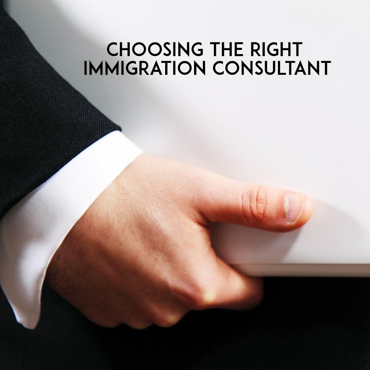 Immigration Consultant